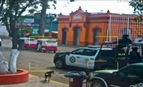 Grupos delictivos intentan obstaculizar operativos de seguridad en Esperanza: Gobierno de Puebla 