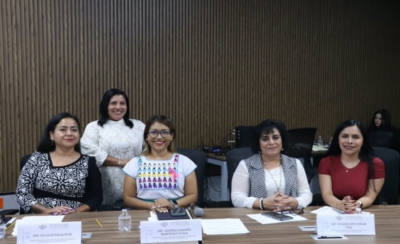 Aprueba Comisión del Congreso exhorto para la protección y acompañamiento de las personas adultas mayores