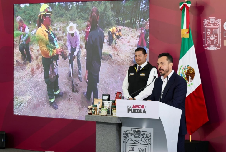 Gobierno Estatal refuerza protección de bosques y garantiza vivienda a guardias forestales