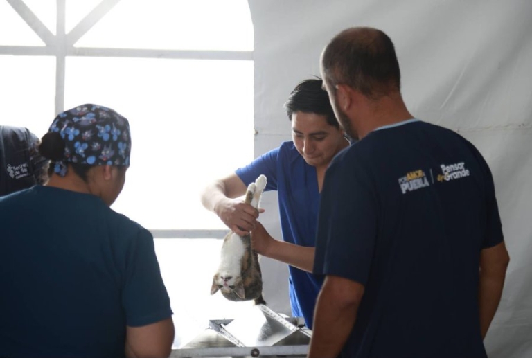 Concluyen Ferias de Paz en San Martín Texmelucan con 16 mil atenciones