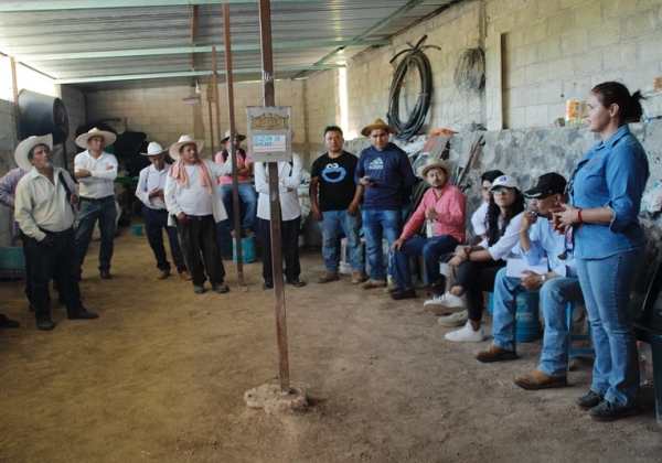 SDR e IPN trabajan en la conformación de cooperativas en zonas mezcalera