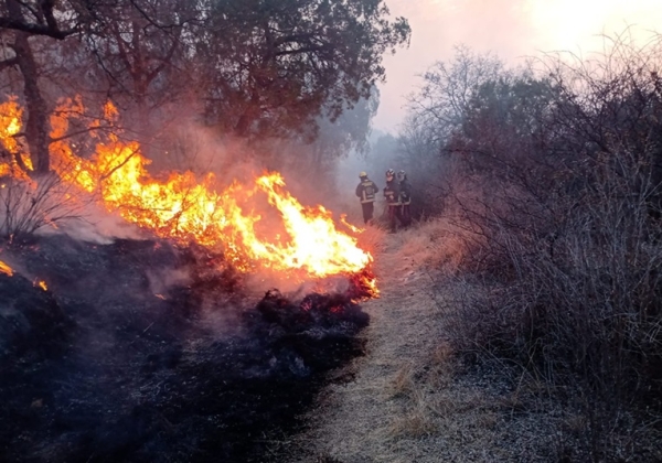 SMADSOT informa que quedó controlado un segundo incendio en la zona de Flor del Bosque