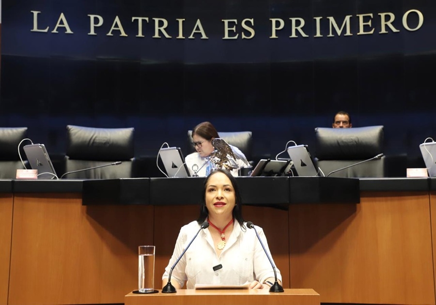 Propone Liz Sánchez garantizar la educación inicial para reducir desigualdades