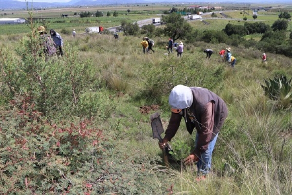 SMADSOT vigila con tecnología 80% de tierras forestales