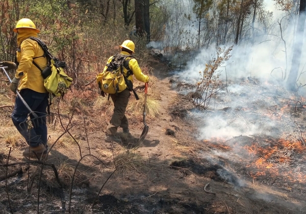 Del 3 al 6 de abril, gobierno de Puebla extingue 17 incendios forestales