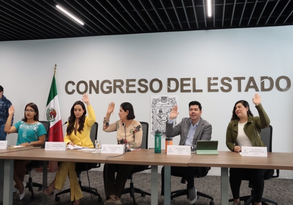 Ante Comisión del Congreso, ASE da a conocer Plan Anual de Auditorías 2025