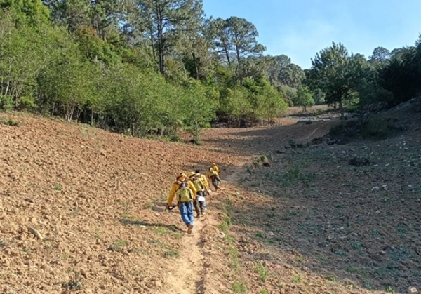 Incendio en Coyomeapan está controlado al 80 por ciento