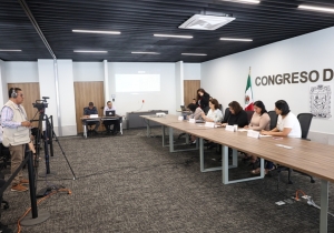 Declaran sin efecto diversas iniciativas presentadas en la LXI Legislatura