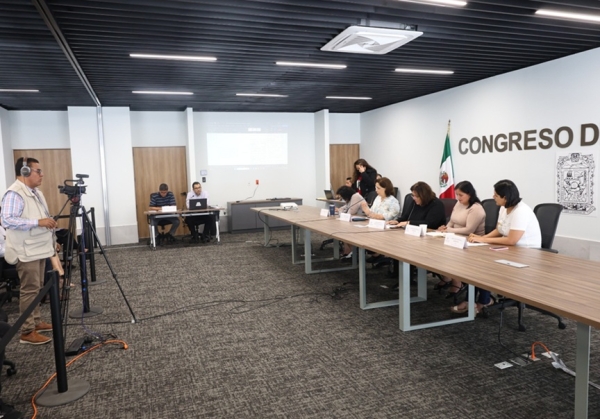 Declaran sin efecto diversas iniciativas presentadas en la LXI Legislatura